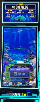 Jogo Aviator 556 brl